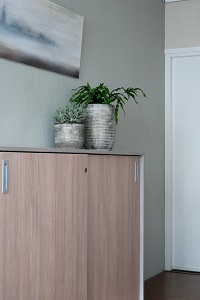 Officinalis, advies vitamine b12 tekort