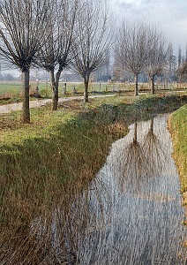 Gerard Snik, advies b12 bij zwangerschap