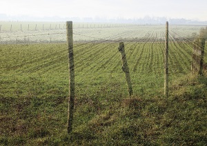 Gerard Snik, vitamine tekort