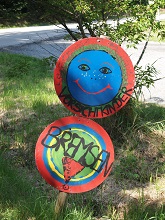 kinderen, bioresonantie